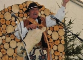 4_n_0