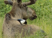 5_n